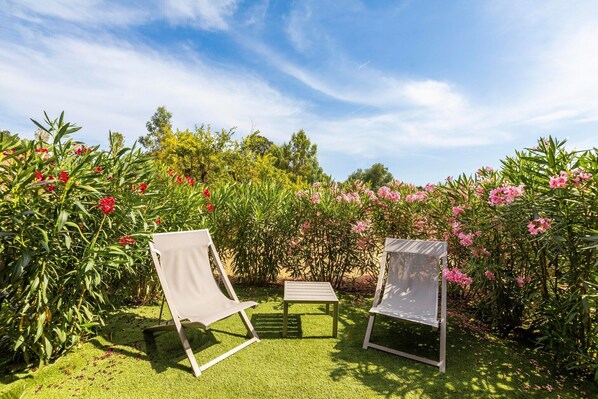 Property grounds - Southern Corsica Retreat with pool (Porto-Vecchio)