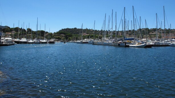 A marina with multiple sailboats docked. - in Cavalaire-sur-Mer by Interhome (Cavalaire)