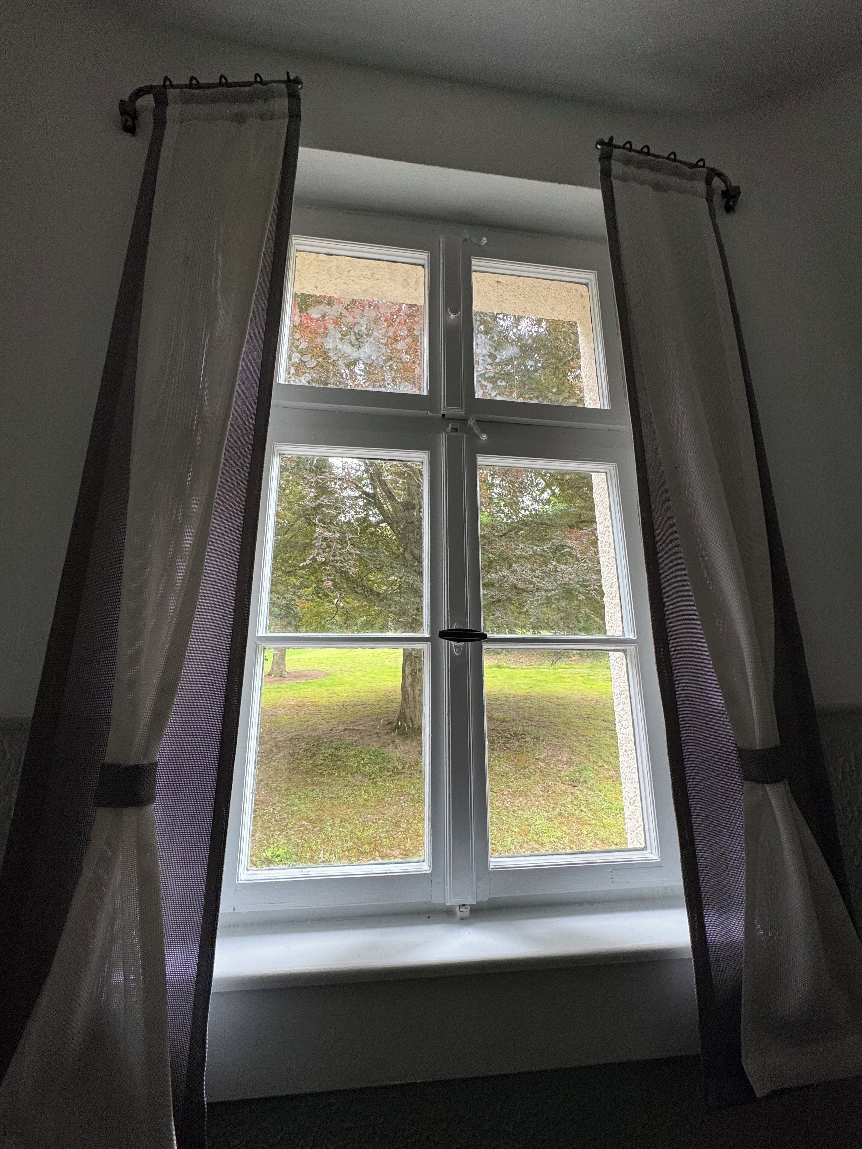 Una ventana con vista a un área verde y árboles.