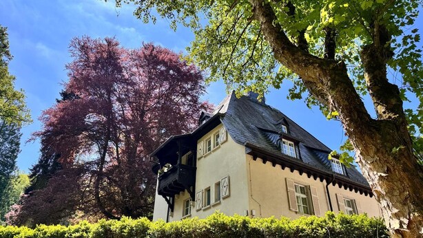 A traditional house with a steep roof, multiple windows, and a large tree in the background. - Landsitz Kammerburg - Verwalterwohnhaus (Lorch)