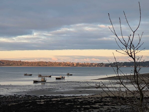 Un paysage côtier avec des bateaux sur une eau calme, une côte lointaine parsemée de bâtiments et un arbre dénudé au premier plan.