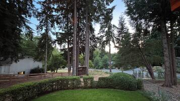 Un espace extérieur abrité, avec une pelouse, des arbres et une clôture en bois.