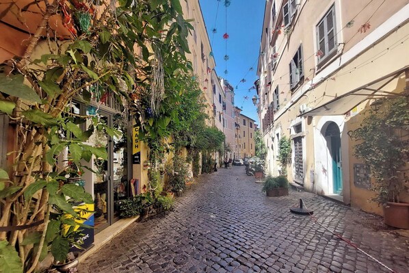 A cobblestone street lined with buildings, some with balconies and plants. - Apartment in Rome with 0 bedrooms sleeps 2 (Rome)