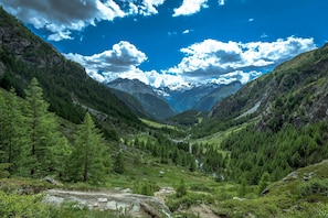 Eine gebirgige Landschaft mit dichten Wäldern, einem Fluss und schneebedeckten Gipfeln unter blauem Himmel.