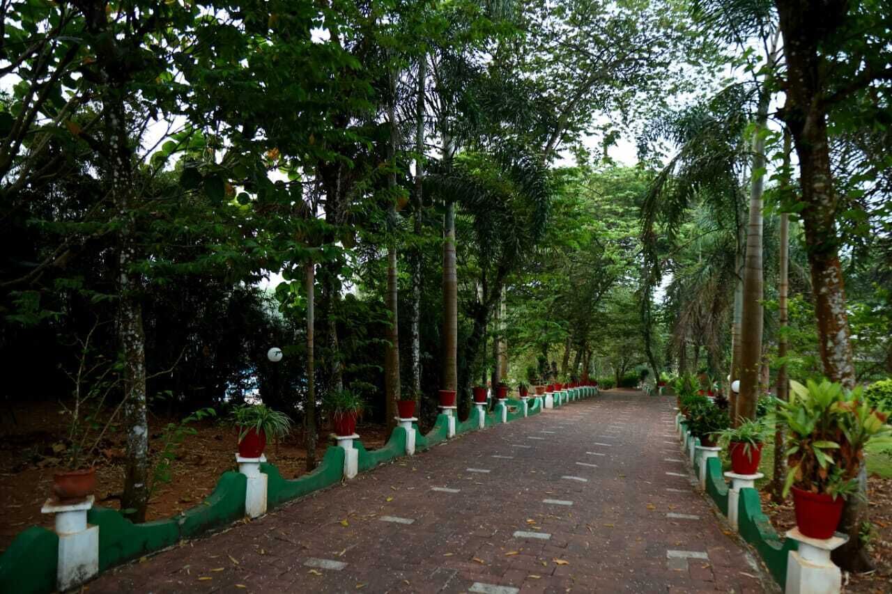 Jardines del alojamiento