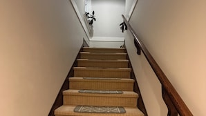 En trappa klädd med matta, med ledstänger, en lampa högst upp och en växt på väggen.