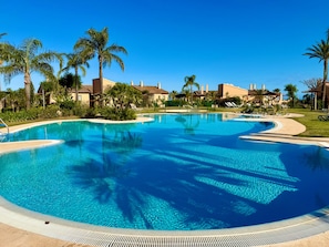 Ein groĂer, klarer Swimmingpool, umgeben von Palmen und HotelgebĂ€uden.