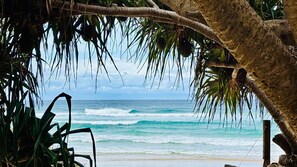 Ein Strand mit Palmen und Wellen.