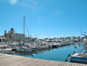 Ein Yachthafen mit zahlreichen vertäuten Booten, einer hölzernen Pier und einem großen Gebäude mit Kuppelarchitektur im Hintergrund.