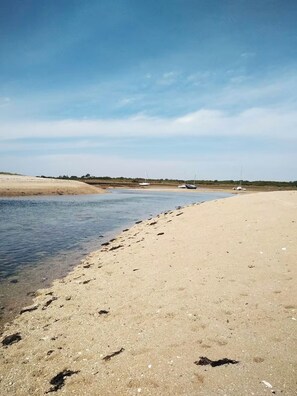 Ein sandiger Strand mit ruhigem Gewässer und blauem Himmel.