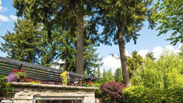 A hot tub with stone walls, surrounded by lush greenery and tall trees.