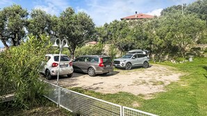 Uma área de estacionamento com três carros, rodeada por vegetação e um edifício ao fundo.