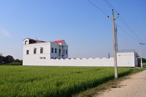 Esterni
