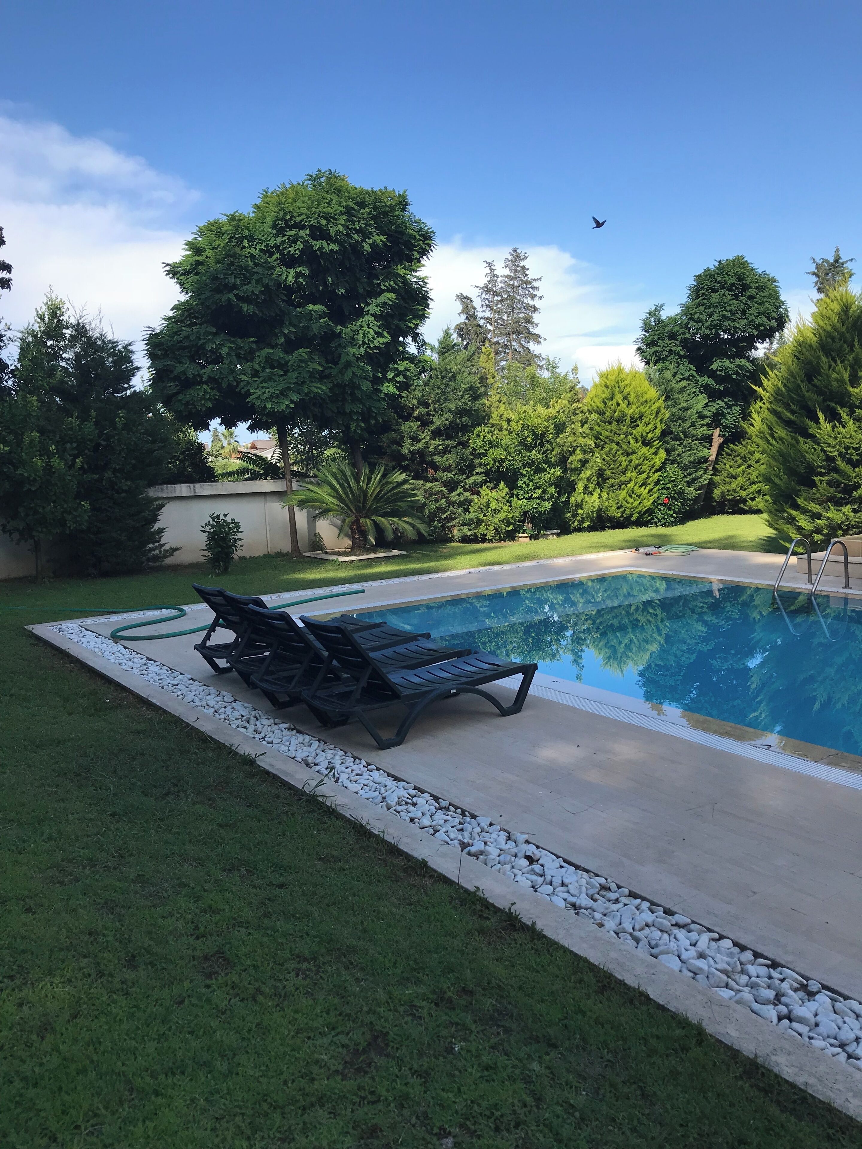A swimming pool with lounge chairs, surrounded by a well-maintained lawn and trees.
