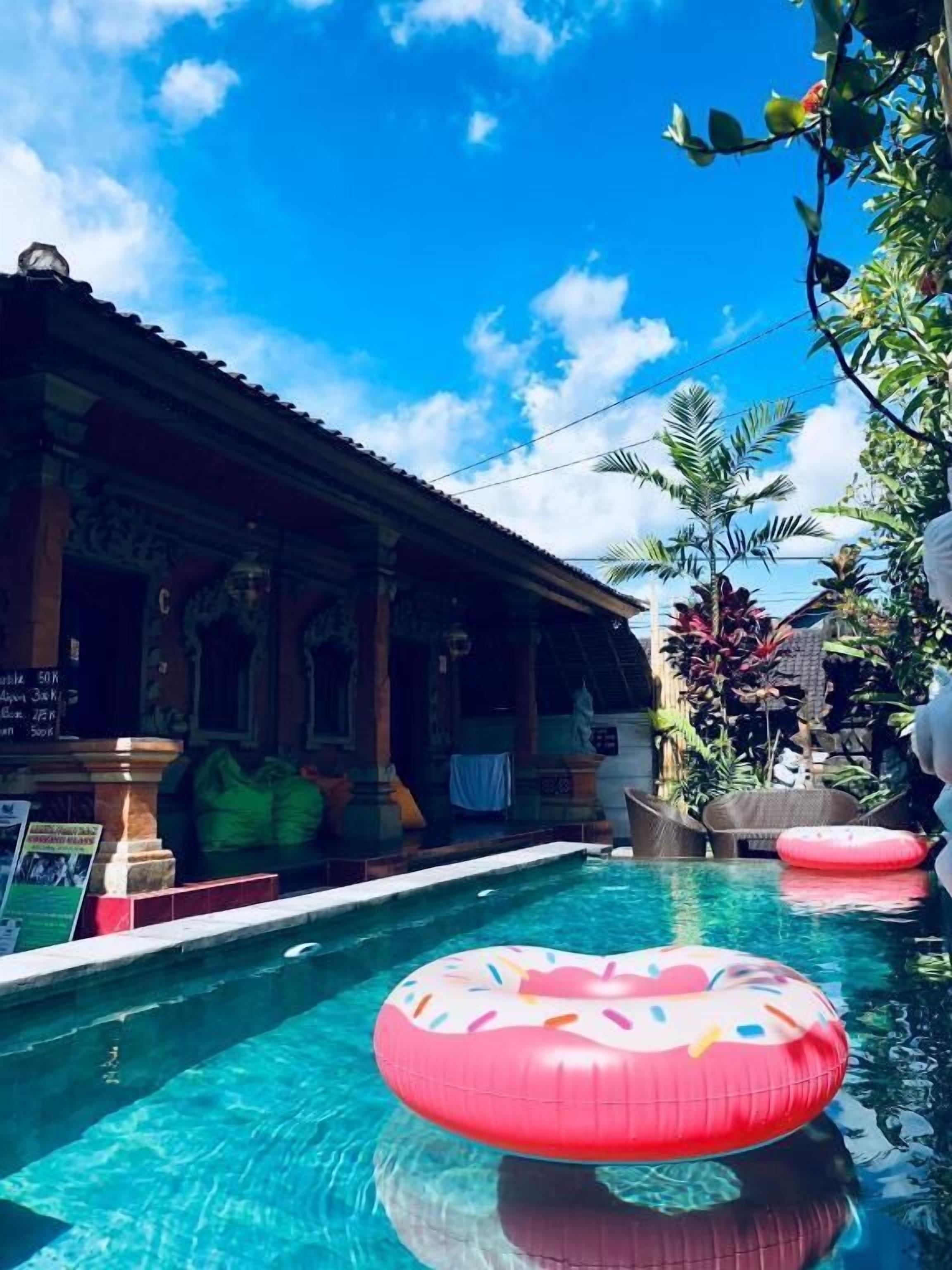 Outdoor pool, pool loungers