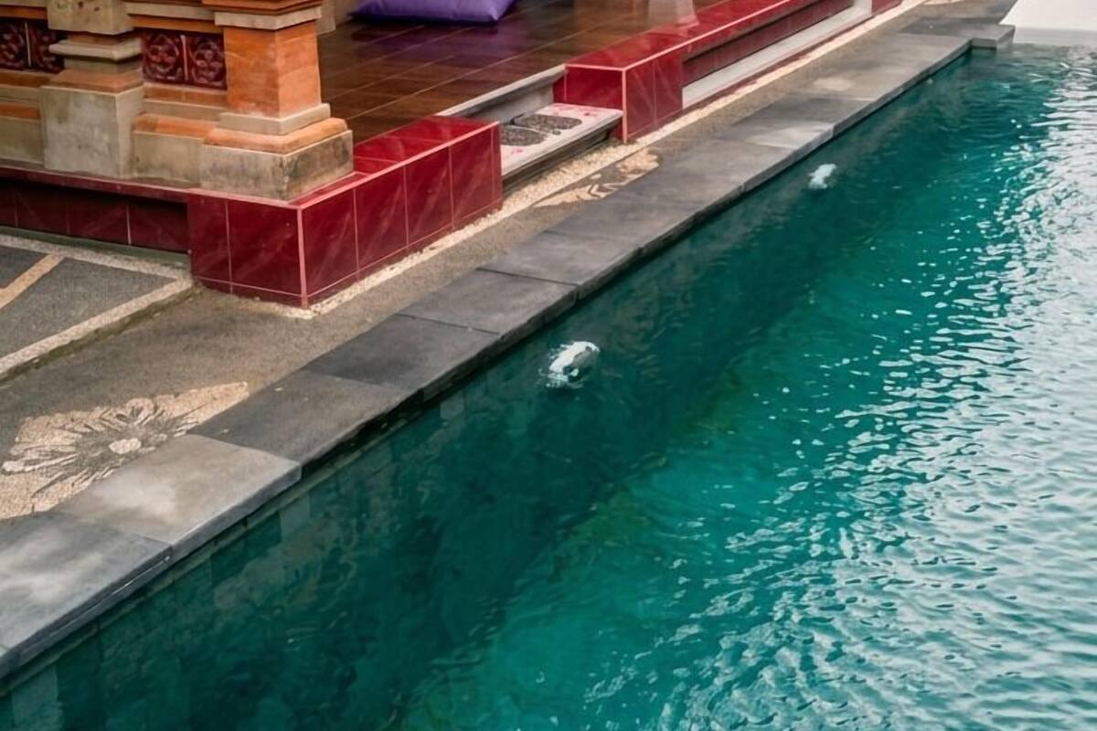 A poolside area with a statue, a covered seating area, and a clear pool.