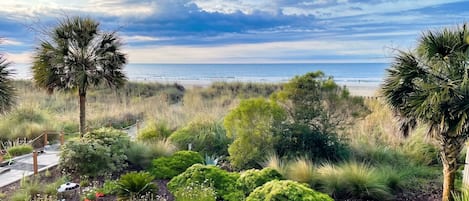 Un jardín ajardinado con diversas plantas y vista al océano.