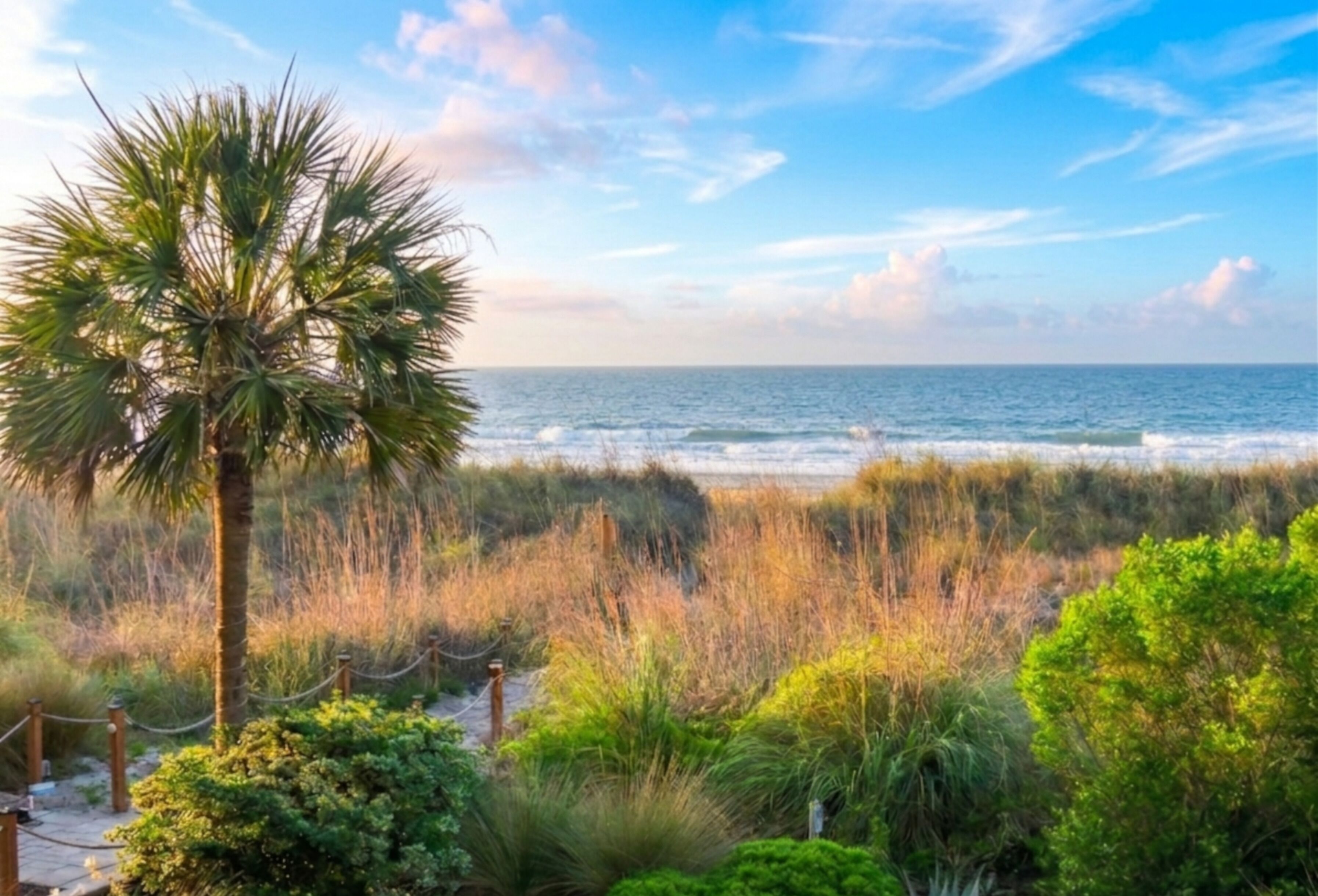 Eine Küstenlandschaft mit einer Palme, Strandbewuchs und dem Meer.