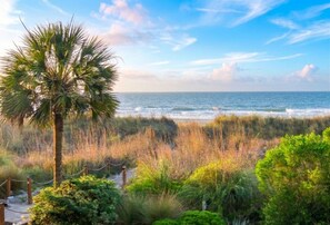 A coastal landscape with a palm tree, beach vegetation, and the ocean.