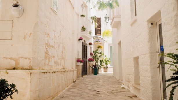 A narrow alleyway with white walls, a stone floor, and hanging plants. - Dimora Rossella (Monopoli)