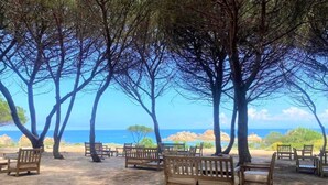 A beachside seating area with wooden benches and trees, overlooking the sea. - Lavanda 2301 Bis by Interhome (Isola Rossa)