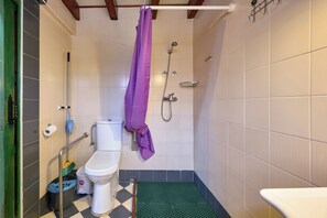 Een badkamer met toilet, douche en een groene mat op de vloer.