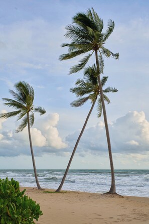 Beach nearby, beach cabanas, sun-loungers, beach umbrellas - Viona Beach Hotel - Marina Phu Quoc (Phu Quoc)