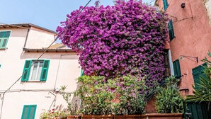 A building with a pink facade, green shutters, and a large flowering tree. - Casetta di Denise by Interhome (Imperia)