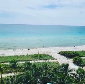 Een strand met helder water, palmbomen en een verre horizon.