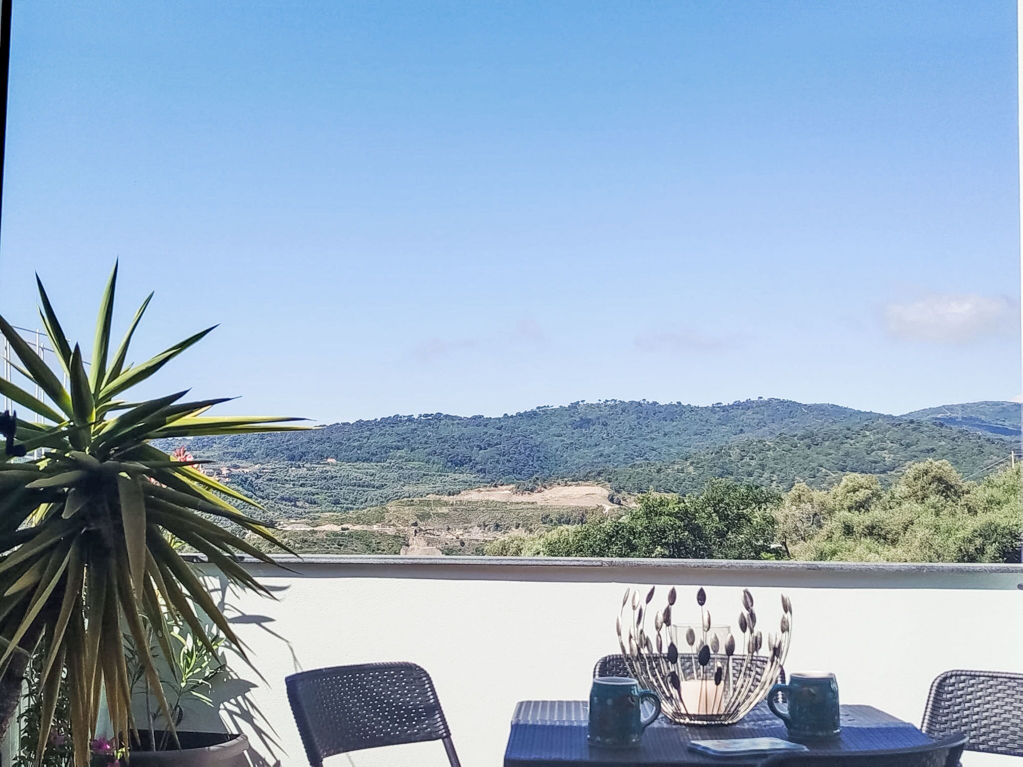 A terrace with a table, chairs, a potted plant, and a view of a hilly landscape.