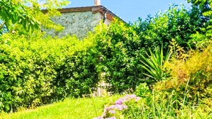 Immagine non classificata, 3 di 32, pulsante