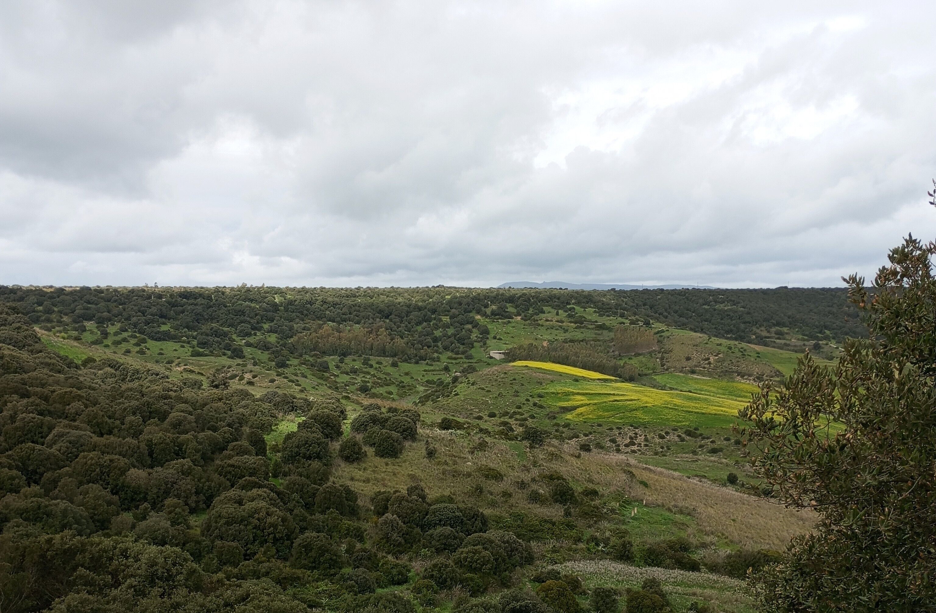 A panoramic view of a hilly landscape with dense forests and open fields.