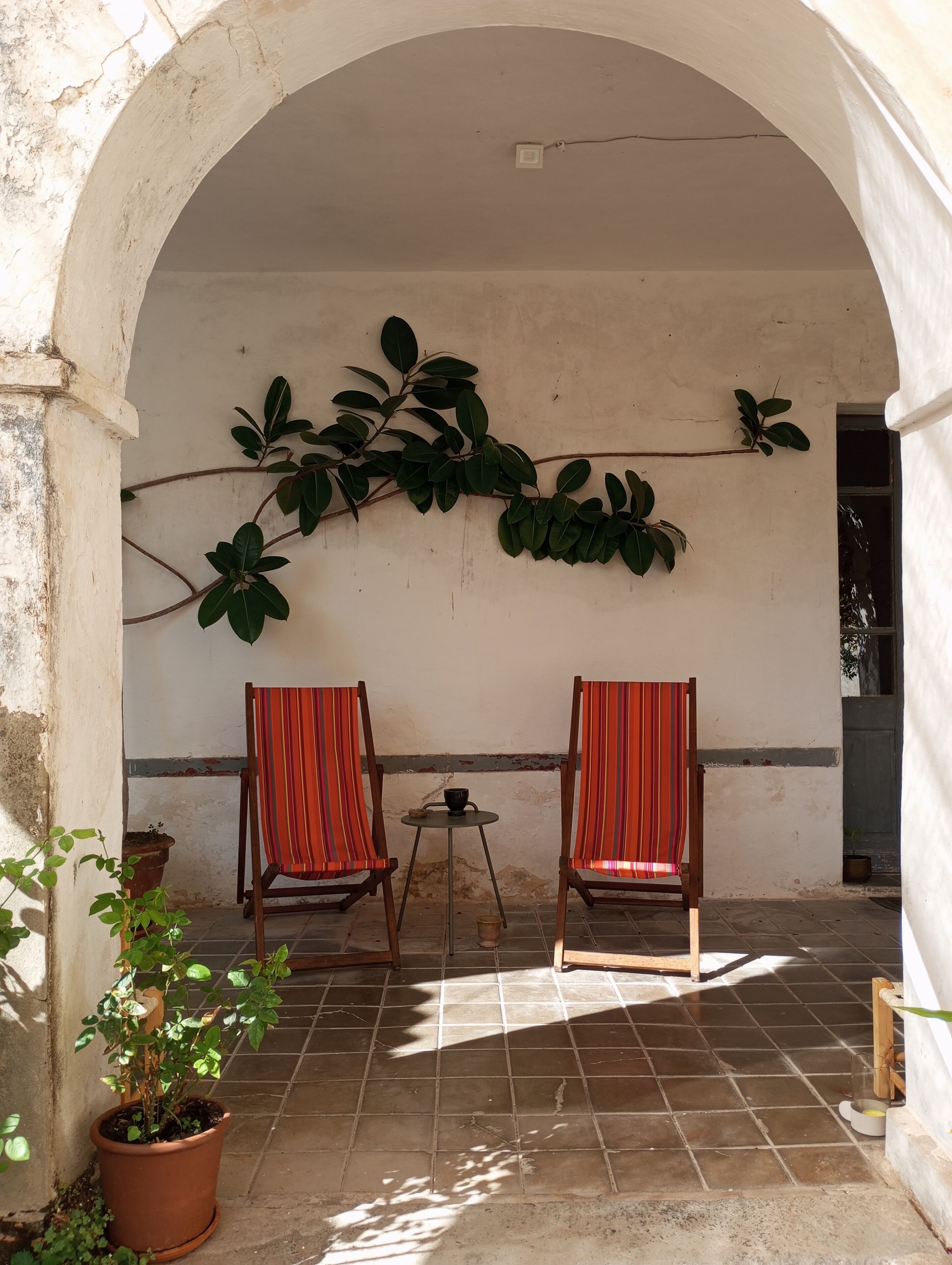 Un espacio al aire libre con dos sillas y una mesa, una planta en maceta y una enredadera grande y frondosa en la pared.