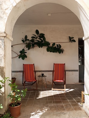 An outdoor seating area with two chairs and a table, a potted plant, and a large leafy vine on the wall.