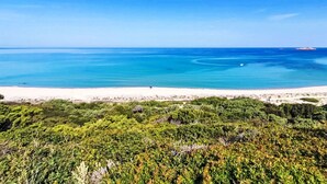Una spiaggia con acque cristalline, una riva sabbiosa e una vegetazione verde e rigogliosa.