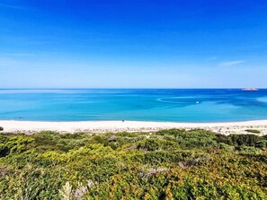 Ein Strand mit klarem, blauem Wasser, sandigem Ufer und dichter, grüner Vegetation.