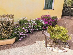 Ein Garten mit verschiedenen Blumen und einem Wegweiser.