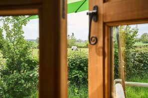 A view through a wooden door with a green awning, revealing a lush green landscape with a person walking in the distance. - Host Stay Shepherds View (Harleston)