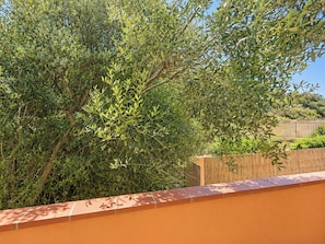A garden area with dense foliage and a wooden fence. - Coniglio Beach by Interhome (Villasimius)