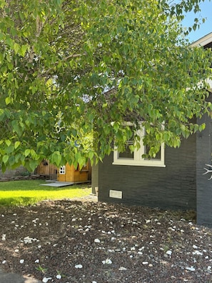 Une maison Ă lâextĂ©rieur sombre, une fenĂȘtre avec un cadre blanc et un arbre aux feuilles vertes au premier plan.