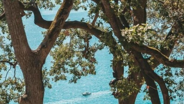 An outdoor seating area with round tables and benches, overlooking a body of water. - Casacon Disco hotel Sirolo (Sirolo)