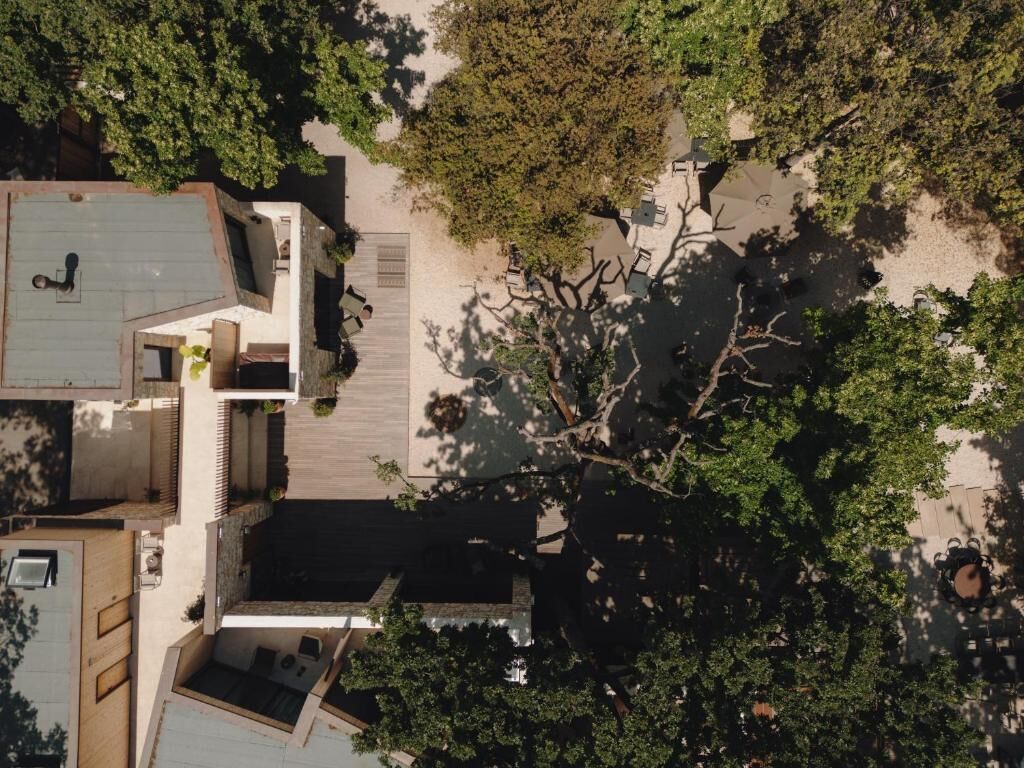 An aerial view of a modern house with a rooftop deck, a swimming pool, and a large tree in the foreground.