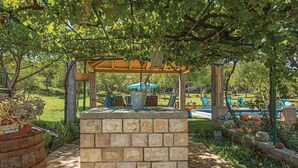 Eine Steinsitzbank unter einer Pergola mit einer hängenden Blumenampel und einem blauen Sonnenschirm.