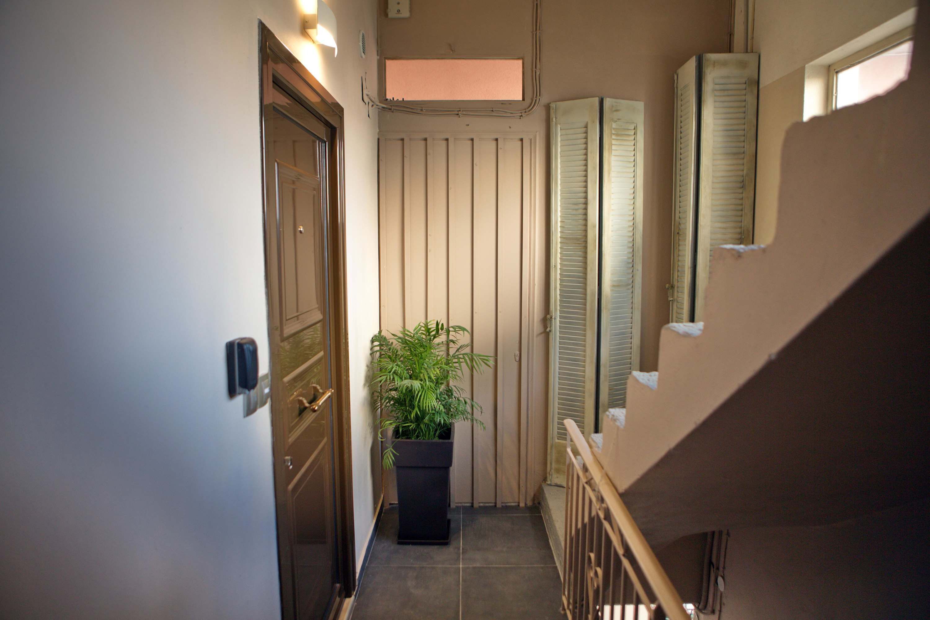 A narrow hallway with a wooden door, a potted plant, and a staircase with a wooden railing.