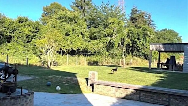 A patio area with stone tiles, a barbecue grill, and a grassy yard with trees and a shed. - Grande Maison Familiale Chez Paulette ★ Games, Petanque & Nature (Gouzon)
