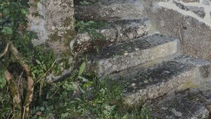 Un escalier en pierre menant à une porte en bois, le tout entouré de verdure.