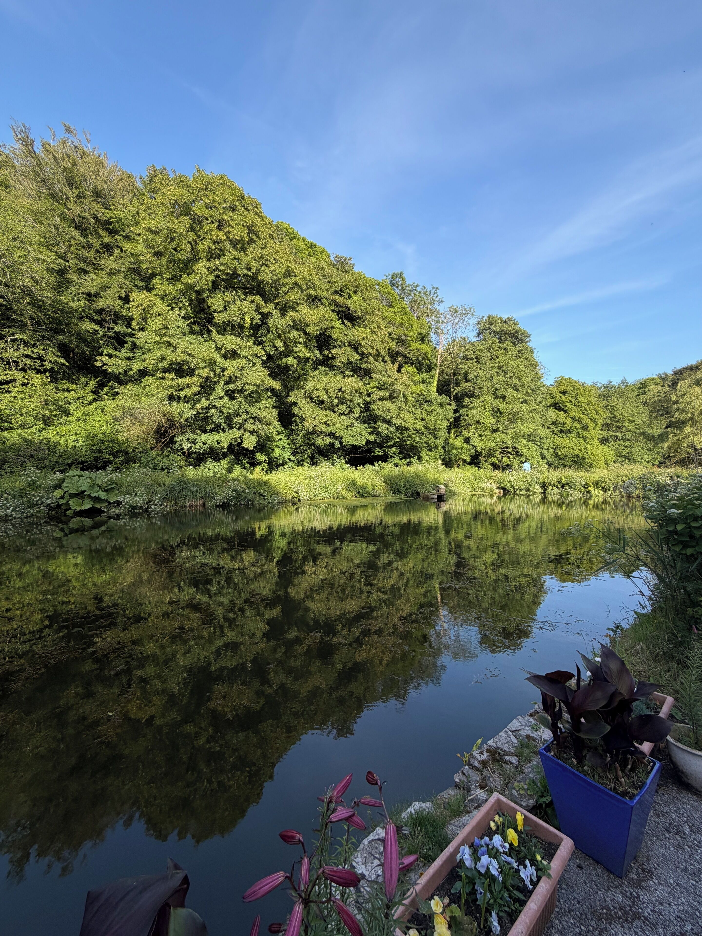Un llac tranquil envoltat de vegetació abundant, sota un cel serè.