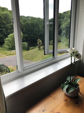 Ein Fenster mit Blick auf eine grüne Landschaft, ein Blumentopf auf einer Holzablage und eine weiße Blume in einer Vase.