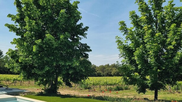 Una piscina con acqua cristallina, circondata da un prato e alberi.