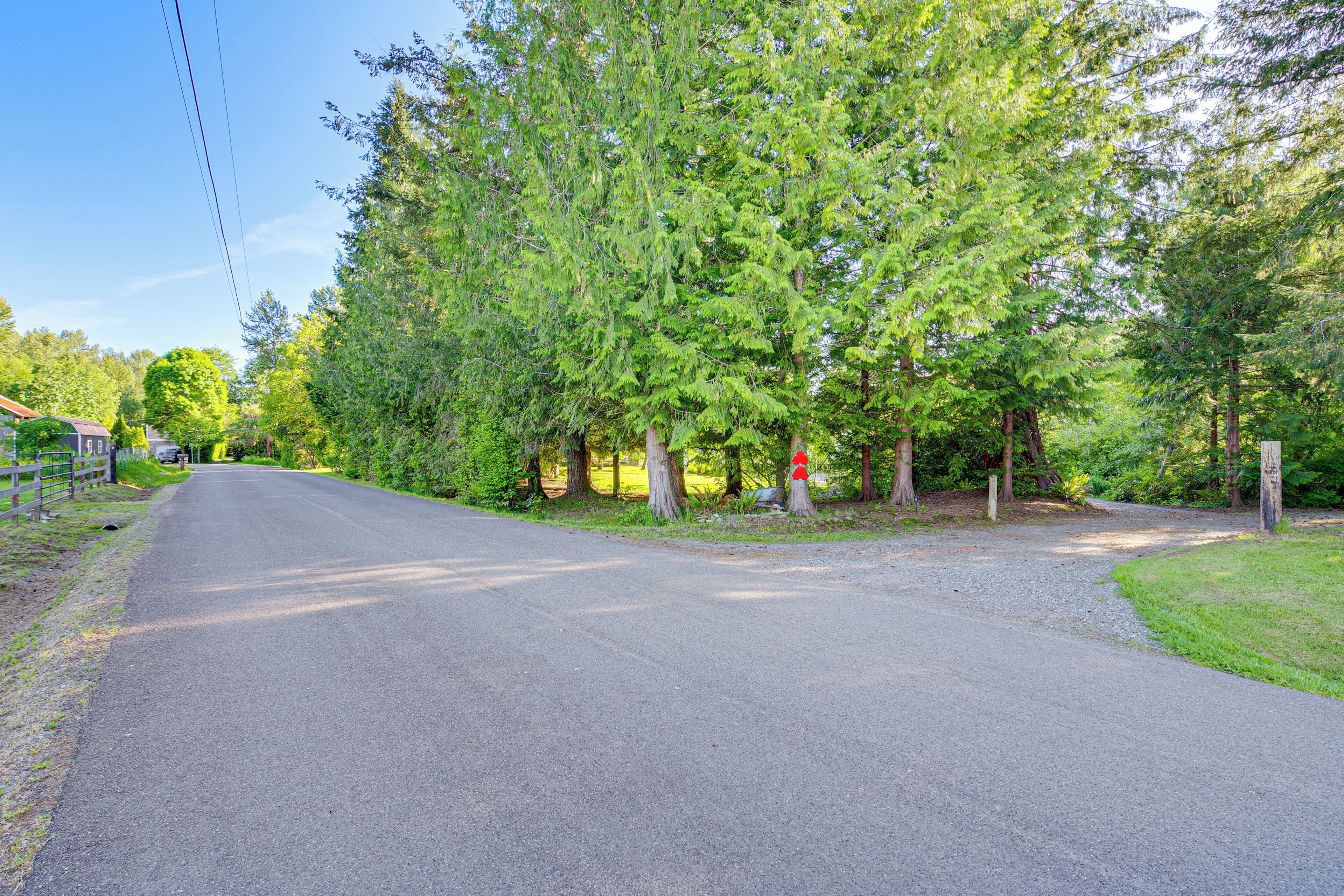 A paved road flanked by trees and a wooden fence.